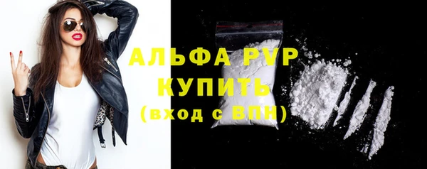 прущие крисы Пересвет