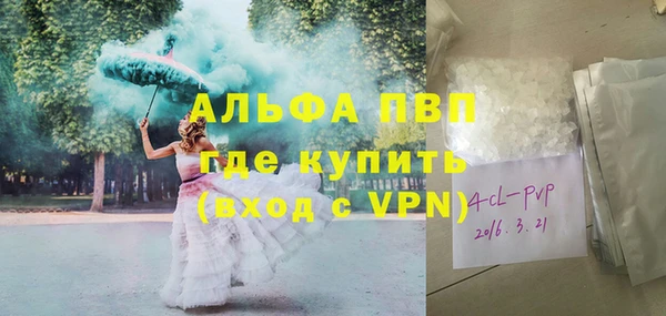 прущие крисы Пересвет