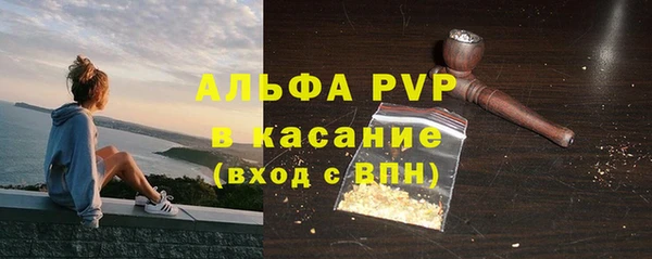 прущие крисы Пересвет