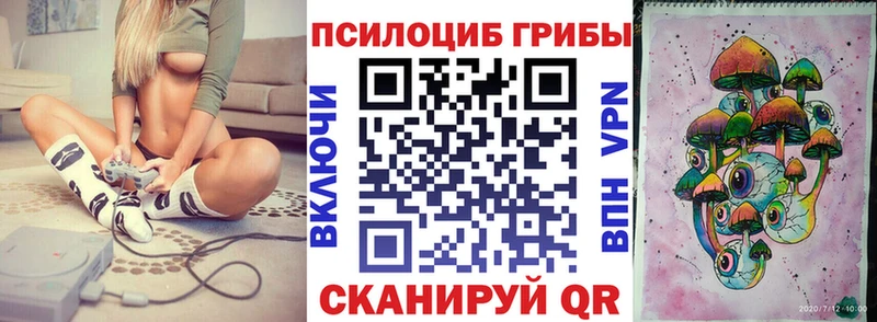 Псилоцибиновые грибы мицелий  где продают наркотики  блэк спрут ТОР  Рославль 
