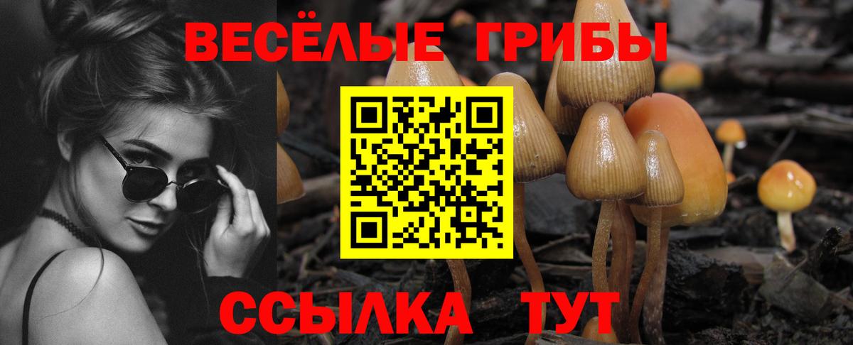 Псилоцибиновые грибы Psilocybe  как найти закладки  Рославль  Вход с VPN 