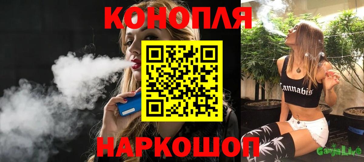 Конопля планчик  Рославль  Канабис SATIVA & INDICA  Канабис семена 